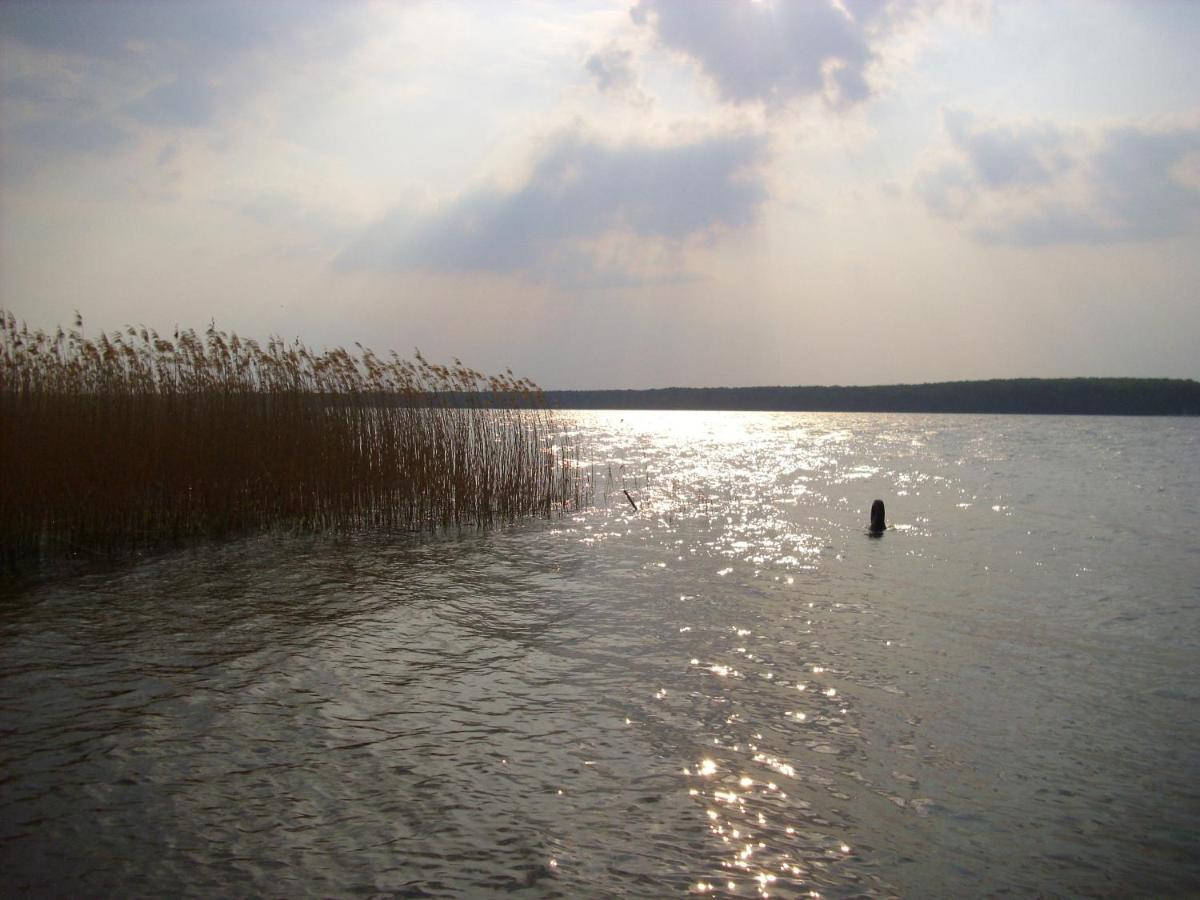 Fewoamglubigsee Wendisch Rietz Exterior photo